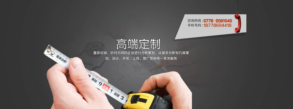 百色网站定制
